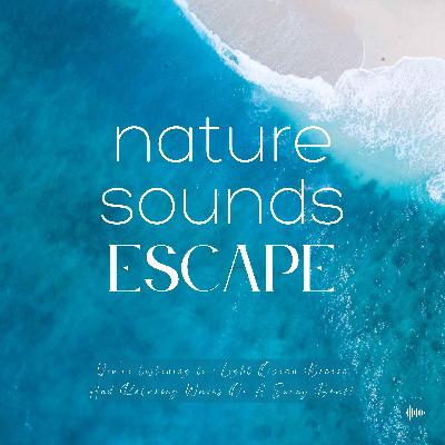 Light Ocean Breeze & Relaxing Waves | Relaxing Nature Sounds For Sleep, Meditation, Relaxation, Studying Or Focus | Sleep Music, Sleep Sounds, Study Music, Zen, Sleep Fast, White Noise, Ocean Waves, Sounds Of Nature, Música Relajante Para Dormir
