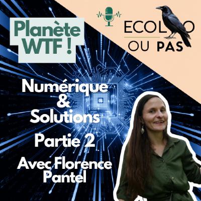 Planète WTF : Numérique et solutions, 2ème Partie avec Florence Pantel