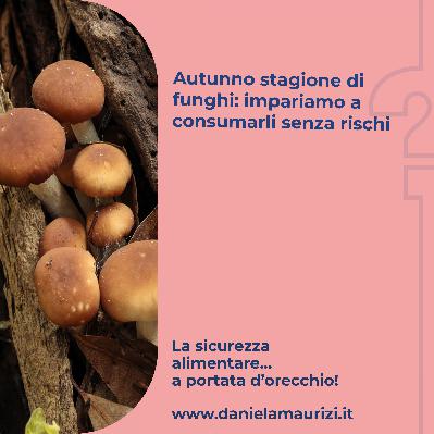 ST4_Ep.38 - Autunno stagione di funghi: impariamo a consumarli senza rischi
