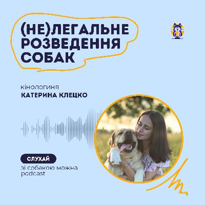 Цуцики за 100 грн VS за 1000 дол: про різницю кінологиня Катя Клецко