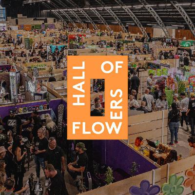 S4 Ep60: Dani Diamond - CEO at Hall of Flowers