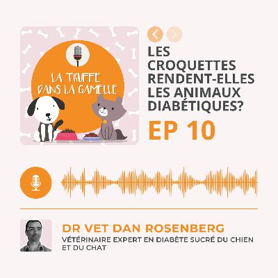 Les croquettes rendent-elles les animaux diabétiques?