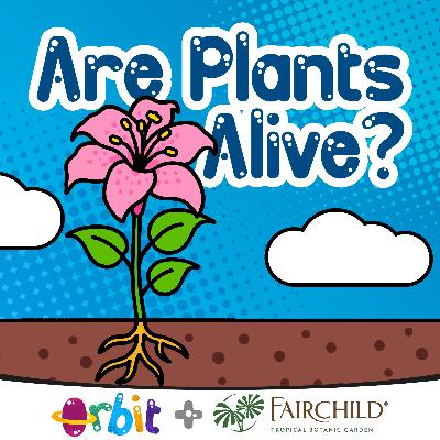 The Secret Life of Plants