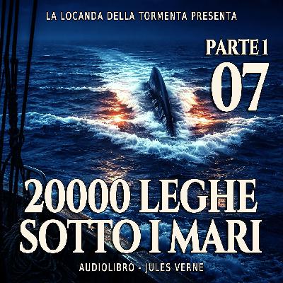 20000 Leghe sotto i mari - Parte 1 - Capitolo 07