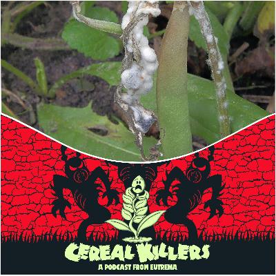 SCLEROTINIA! SCLEROTINIA!