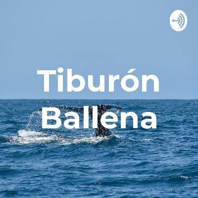 Reserva de la Biosfera Tiburón Ballena