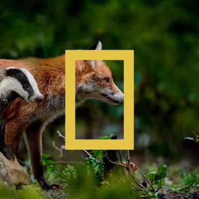 Op pad door holle wegen in Limburg