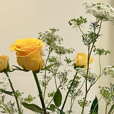 第四季EP7【從中醫“髓海空虛”，認識預防醫學】