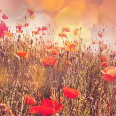 Can Sunlight Help with ADHD?