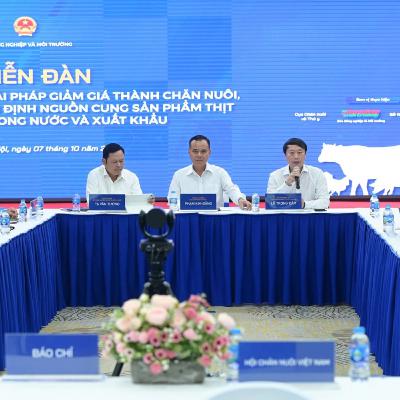 Tin trong nước - Tìm giải pháp giảm giá thành chăn nuôi, đảm bảo nguồn cung cuối năm