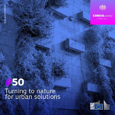 Turning to nature for urban solutions