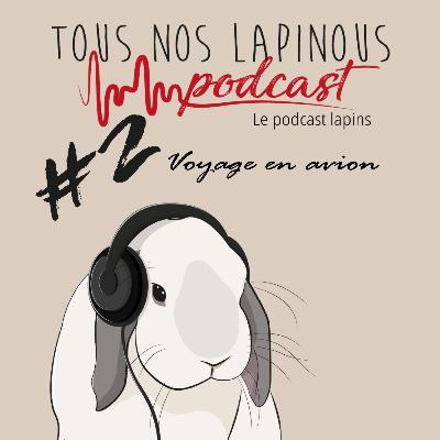 Podcast TNL #2 Voyager en avion avec ses lapins Podcast TNL #2 Voyager en avion avec ses lapins