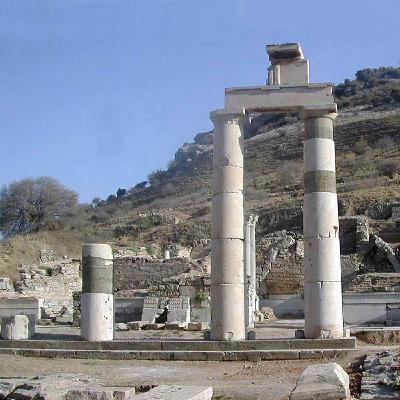 Parassiti Parassiti