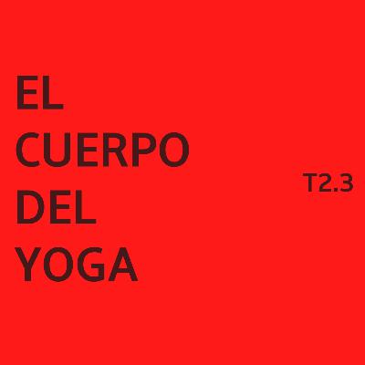 2.3.- El Cuerpo del Yoga