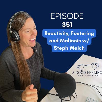 351. Reactivity, Fostering and Malinois w/ Steph Welch