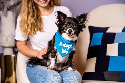 Fostering the Foster Movement