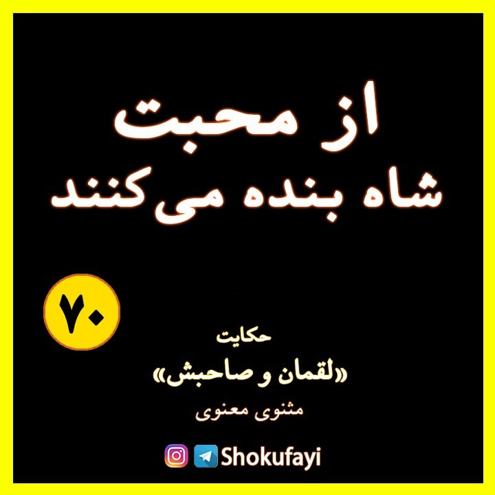 از محبت شاه بنده می کنند