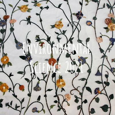 Eco-Anxiety Interview