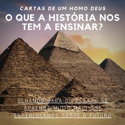 Carta 08 - O que a história tem a ensinar?