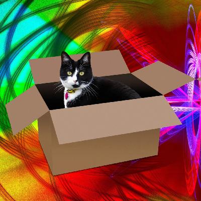 En mécanique quantique, décodons l'expérience de pensée du chat de Schrodinger