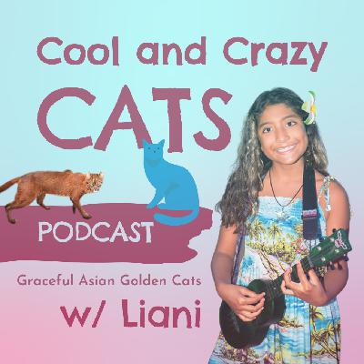 Graceful Asiatic Golden Cats