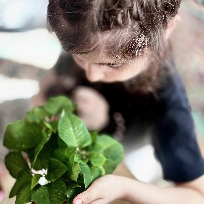 The Folklore of Foliage: Debunking Plant Myths and Wives' Tales