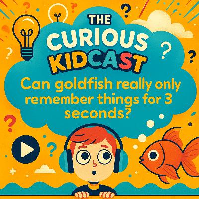 Can goldfish really only remember things for 3 seconds? | Amazing Animal Facts