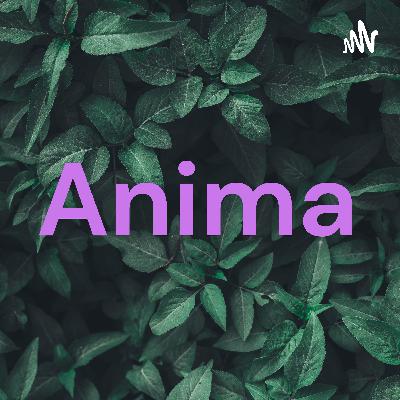 Los mal llamados animales salvajes