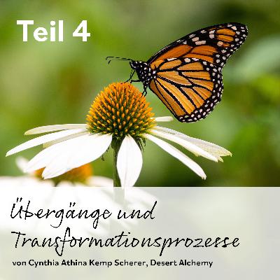 Übergänge und Transformationsprozesse – Teil 4 Übergänge und Transformationsprozesse – Teil 4