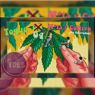 Toque 04 - M*ta y Cultivo