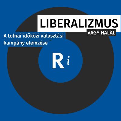 Hogy nyerte meg a Fidesz a tolnai választást? Hogy nyerte meg a Fidesz a tolnai választást?