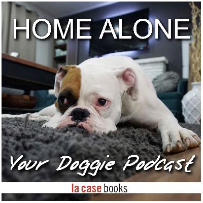 Post Pandemic Vol. 1: Home Alone, Your Doggie Podcast Post Pandemic Vol. 1: Home Alone, Your Doggie Podcast