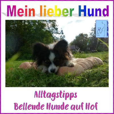 73 - Alltagstipps: Entspannt an bellenden Hunden auf Hof vorbei