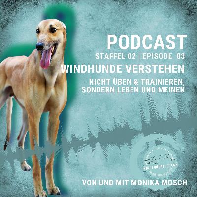 "Windhunde verstehen": Nicht üben & trainieren, sondern leben und meinen. "Windhunde verstehen": Nicht üben & trainieren, sondern leben und meinen.