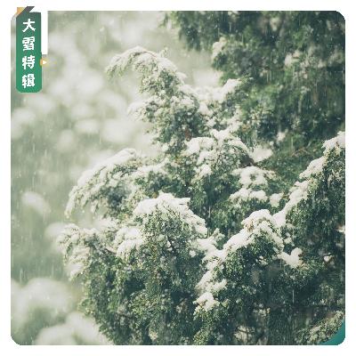 【大雪特辑】雪覆山河韵自生