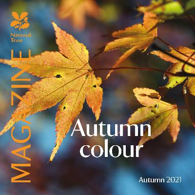 Issue 154 - Autumn 2021