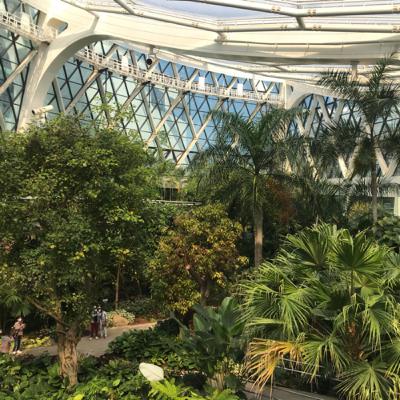 Дама с собачкой часть 1-2 Дама с собачкой часть 1-2