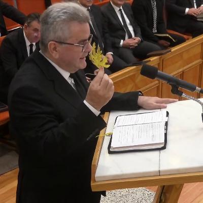 Fragilitatea vieţii - Nelu Filip Fragilitatea vieţii - Nelu Filip