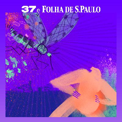 Episódio 2: Depois da onda