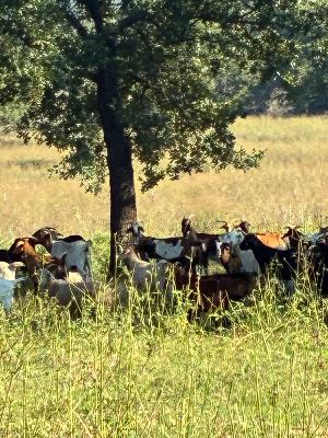 october 2025 october 2025