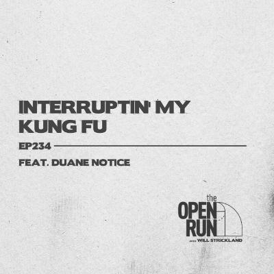 Interruptin' My Kung Fu