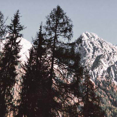 Máquina Del Tiempo 🌈 Lo Probamos ? (PNL)