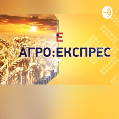 Пізній сезон: пасічники почали качати мед аж наприкінці липня | Агро-Експрес
