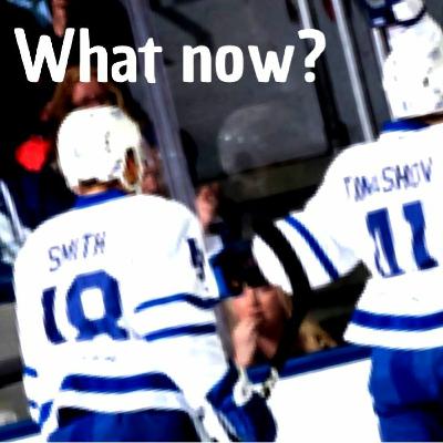The plan ahead for the Leafs Prospects