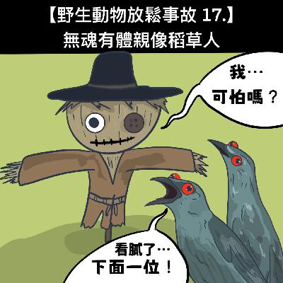野生放鬆事故17. 無魂有體親像稻草人