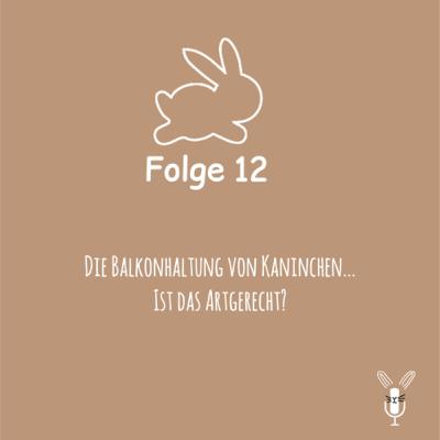 Balkonhaltung mit @hoppel_team 🐇🏡