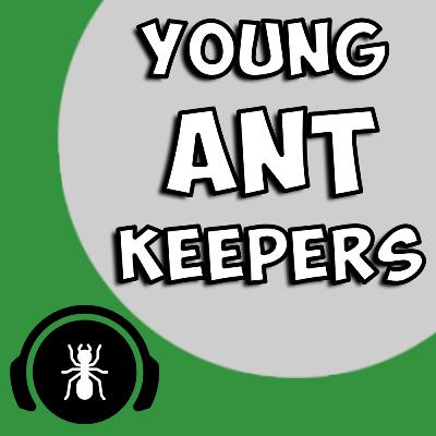 Young Ant Keepers V2 - Featuring Ants Insight, Anty Enclosures and ElijahsAnts | The Ant Podcast #32