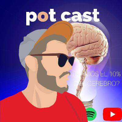 Usamos el 10% de nuestro cerebro?