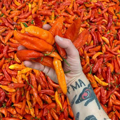 Poor Devil Pepper Co. on fermented hot sauce and sourcing local