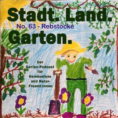 No. 63 - Rebstöcke im Garten: Mit diesen Tipps erntet ihr reichlich